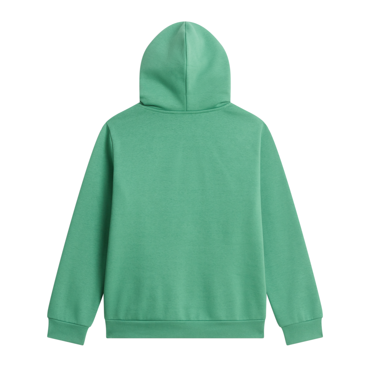 The North Face - Teen Evolution Simple Dome Pullover Hood - Dimmed Algae - vista alternativa 1