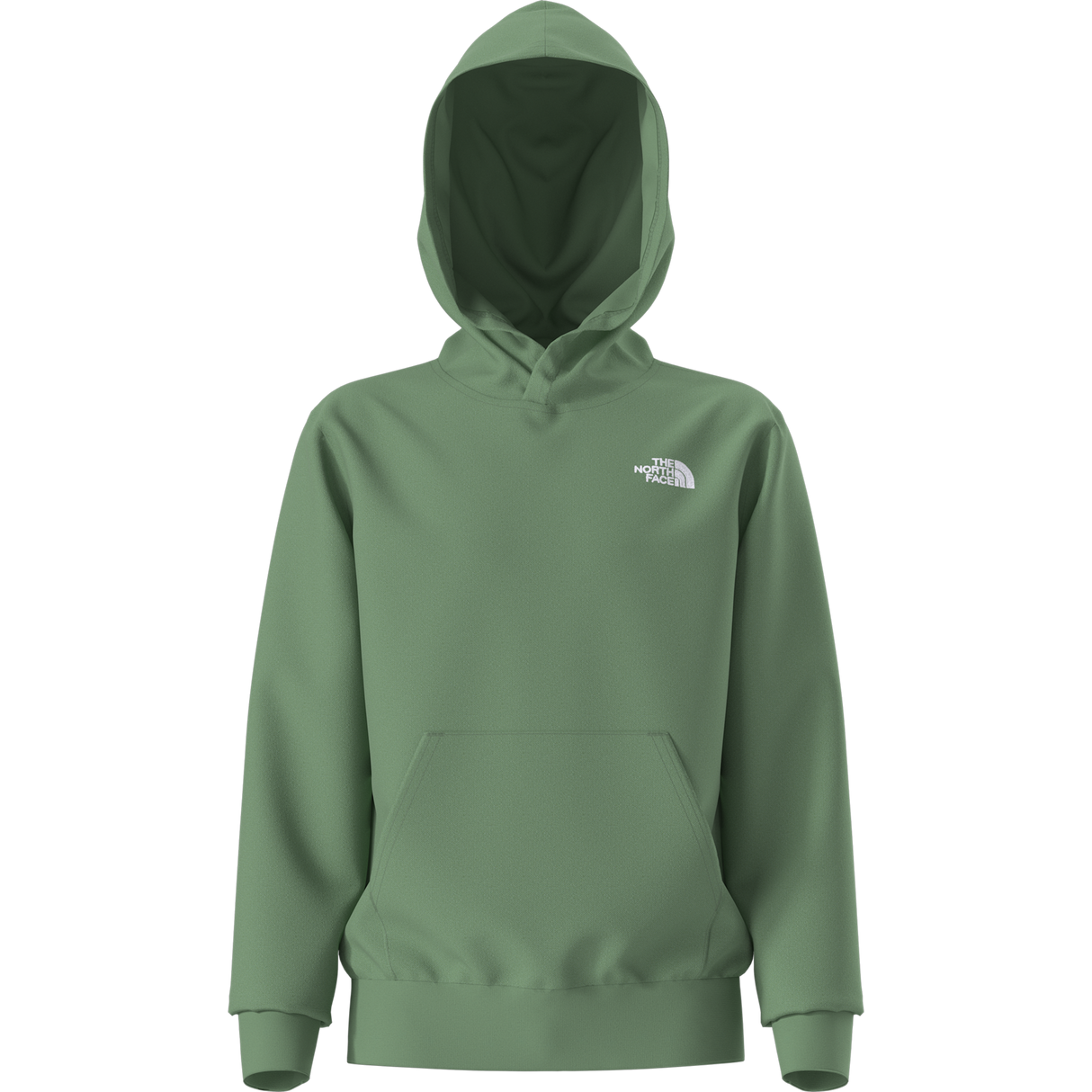 The North Face - Teen Evolution Simple Dome Pullover Hood - Dimmed Algae - vista alternativa 10