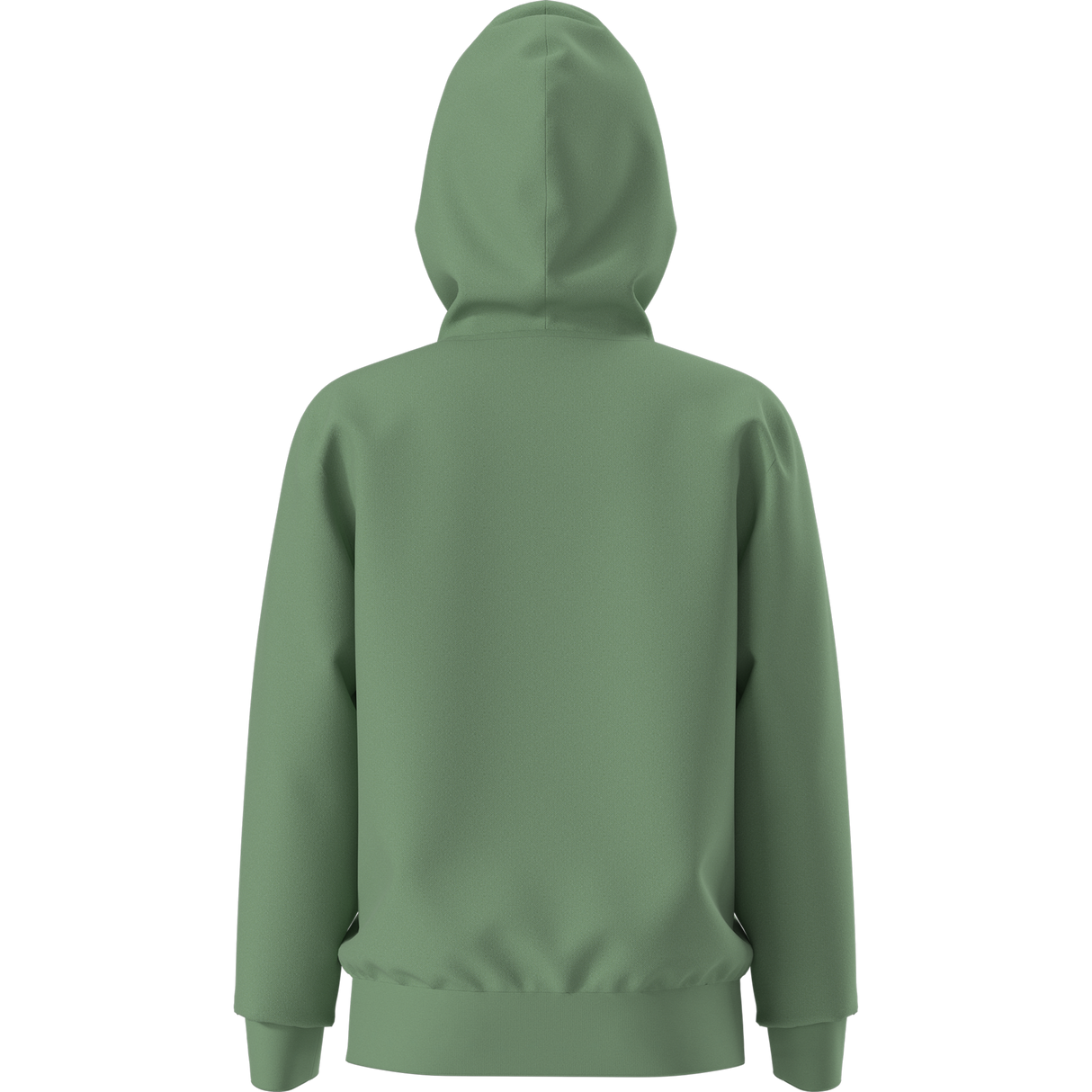 The North Face - Teen Evolution Simple Dome Pullover Hood - Dimmed Algae - vista alternativa 11