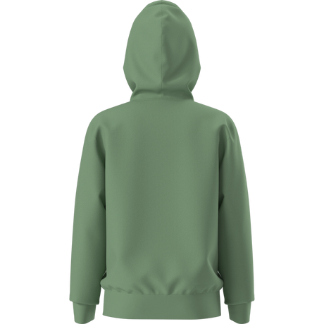 The North Face - Teen Evolution Simple Dome Pullover Hood - Green - vista alternativa 11