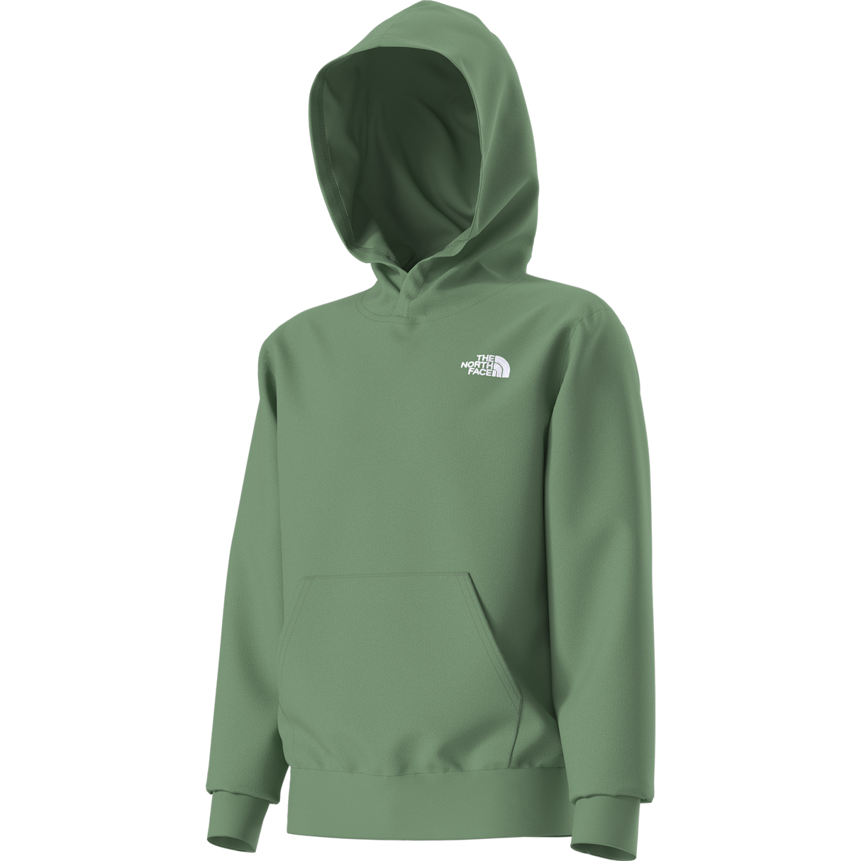 The North Face - Teen Evolution Simple Dome Pullover Hood - Dimmed Algae - vista alternativa 12