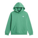 The North Face - Teen Evolution Simple Dome Pullover Hood - Green - vista principale