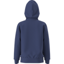 The North Face - Teen Evolution Simple Dome Pullover Hood - SHQUAILGY/CLDGY - vista alternativa 11