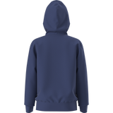 The North Face - Teen Evolution Simple Dome Pullover Hood - SHQUAILGY/CLDGY - vista alternativa 11