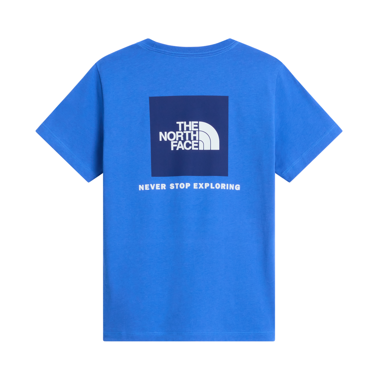 The North Face - Teen Evolution Box Nse Ss Tee - SHDPGRTRD/MLNRD - vista alternativa 1