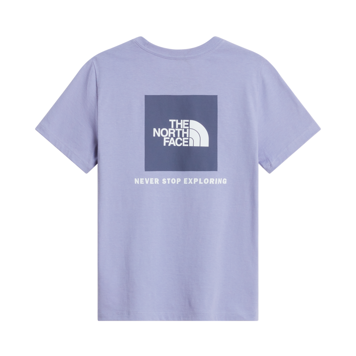 The North Face - Teen Evolution Box Nse Ss Tee - Pale Plum - vista alternativa 1