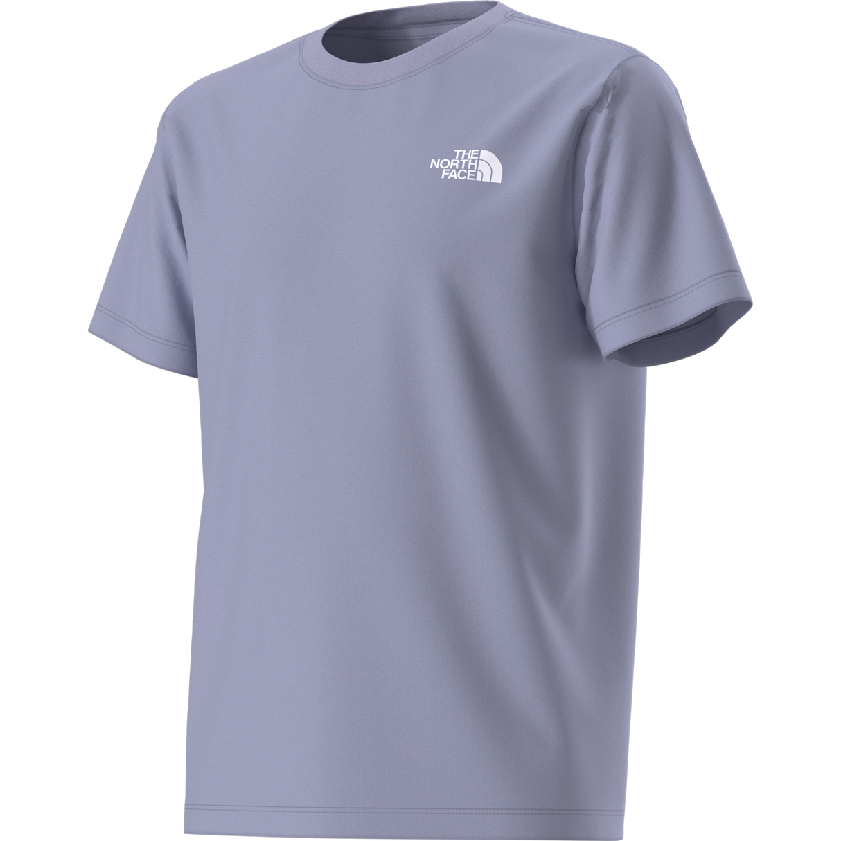 The North Face - Teen Evolution Box Nse Ss Tee - Pale Plum - vista alternativa 2