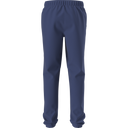 The North Face - Teen Evolution Simple Dome Pant - SHQUAILGY/CLDGY - vista alternativa 11