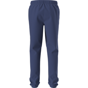 The North Face - Teen Evolution Simple Dome Pant - SHQUAILGY/CLDGY - vista alternativa 11