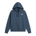 The North Face - Evolution Box Nse Regular Hoodie da uomo - Grey - vista principale