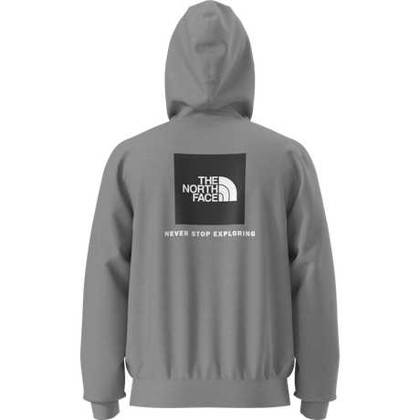 The North Face - Evolution Box Nse Regular Hoodie da uomo - TNF Pale Grey Heather - vista principale