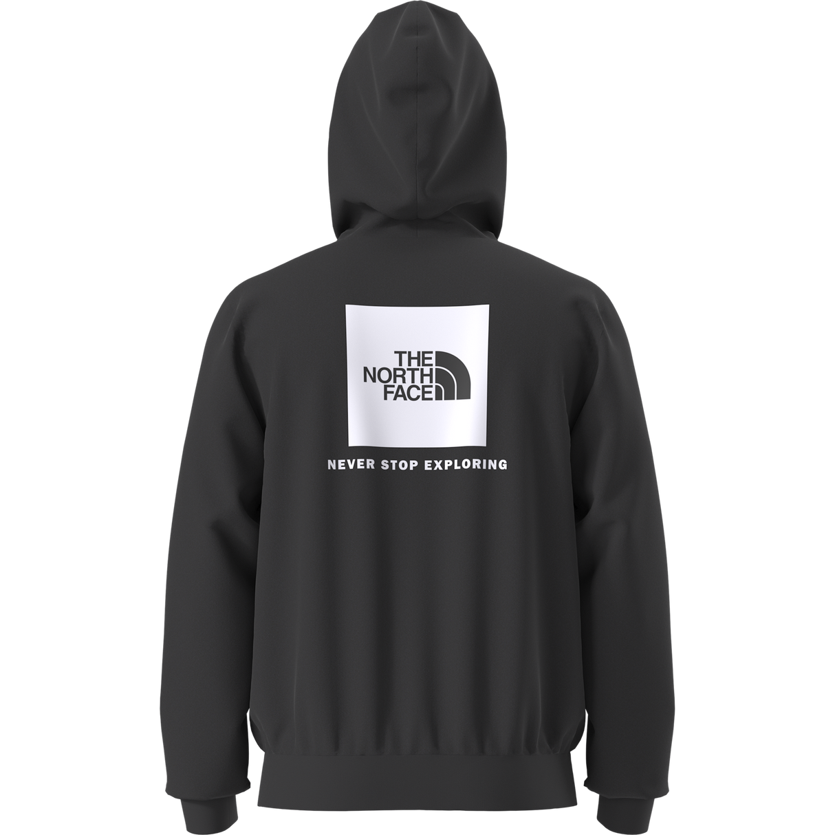The North Face - Evolution Box Nse Regular Hoodie da uomo - TNF BLACK - vista alternativa 1