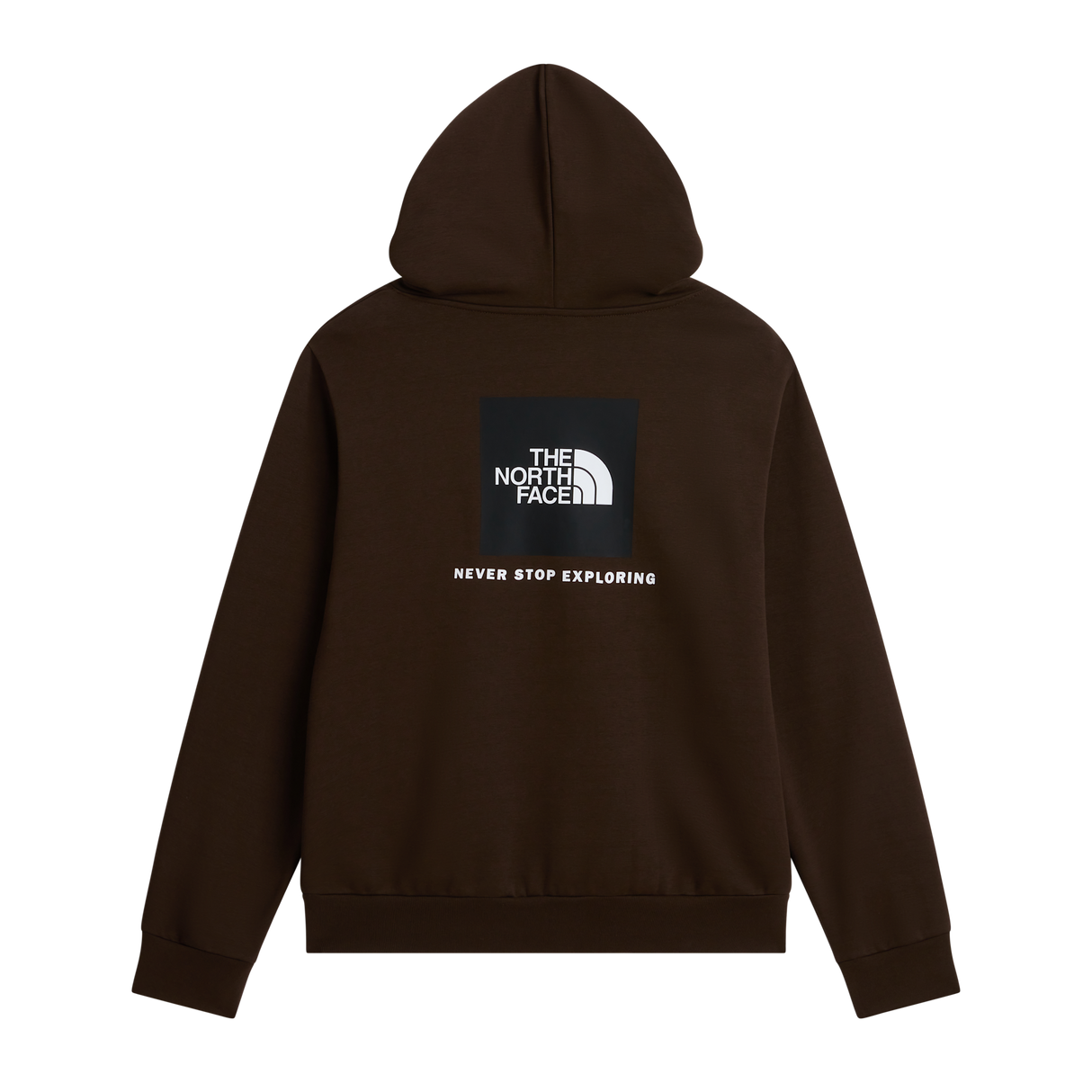 The North Face - Evolution Box Nse Regular Hoodie da uomo - Dark Chestnut - vista alternativa 1