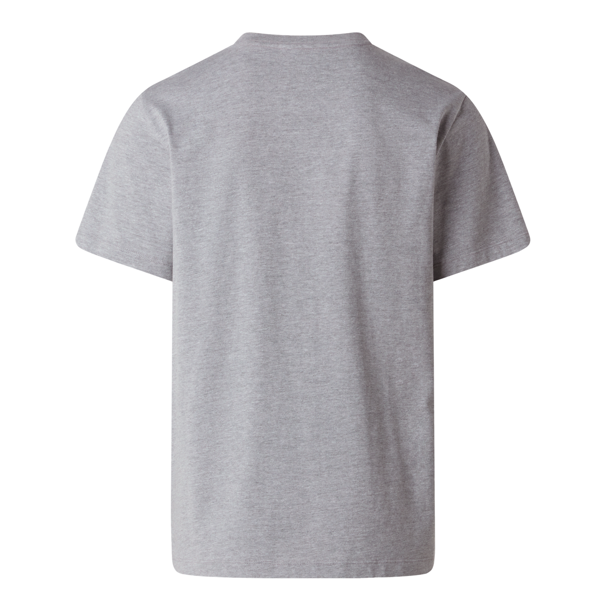 The North Face - Evolution Simple Dome Short SL Caraway Seed da uomo - TNF Pale Grey Heather - vista alternativa 1