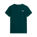 The North Face - Evolution Simple Dome Short SL Caraway Seed da uomo - Green - vista principale