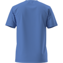 The North Face - Evolution Simple Dome Short SL Caraway Seed da uomo - SHDPGRTRD/MLNRD - vista alternativa 11