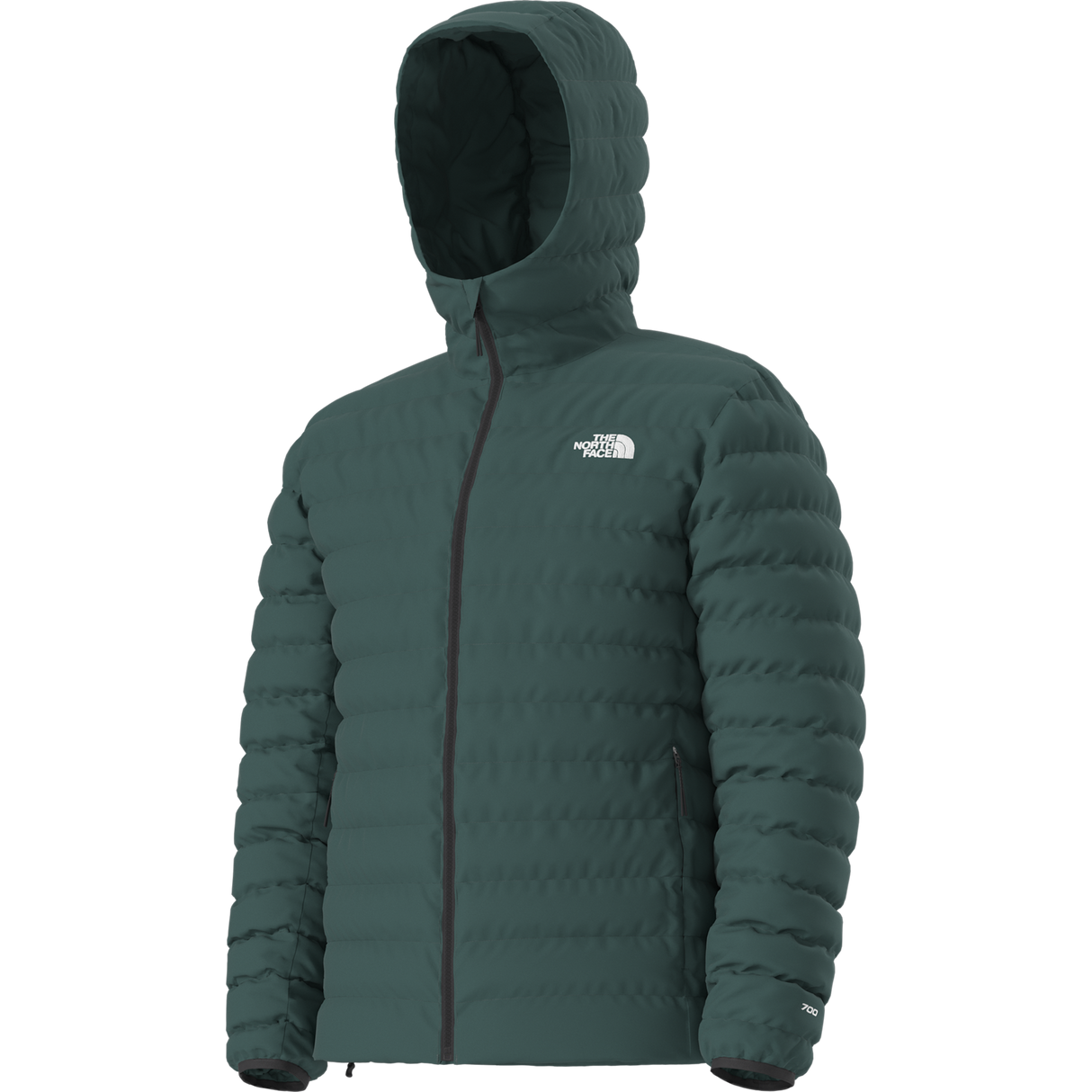 The North Face - Classic Down Hooded Jacket da uomo - Pacific Teal - vista alternativa 2