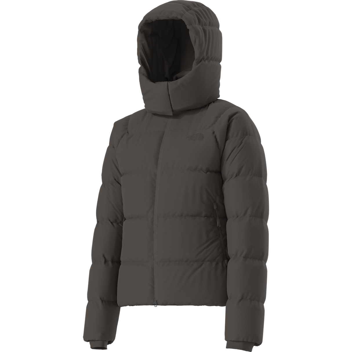 The North Face - Hydrenalite City Down Hooded Jacket da donna - Dark Chestnut - vista alternativa 2