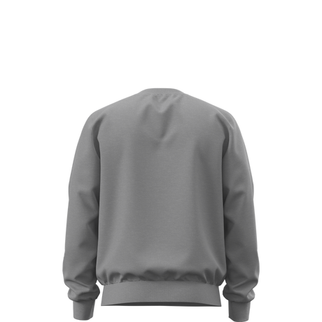 The North Face - Evolution Simple Dome Regular Crew da uomo - TNF Pale Grey Heather - vista alternativa 1