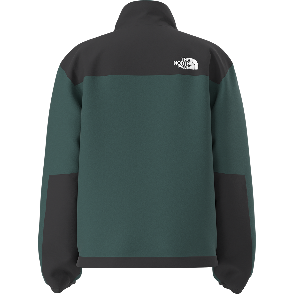 The North Face - Teen Denali Jacket Denali - Pacific Teal - vista alternativa 11