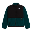 The North Face - Teen Denali Jacket Denali - Green - vista principale