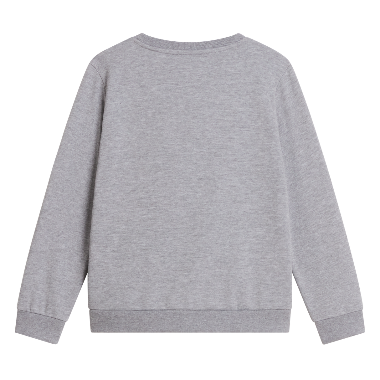 The North Face - Teen Evolution Simple Dome Crew - TNF Pale Grey Heather - vista alternativa 1