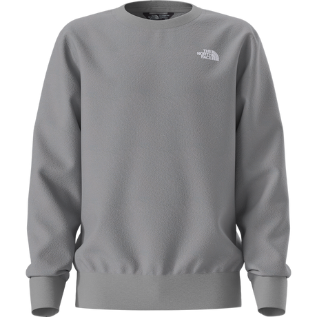 The North Face - Teen Evolution Simple Dome Crew - GREY - vista alternativa 10