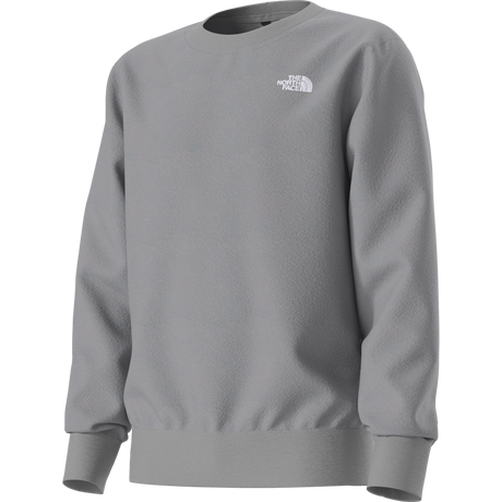 The North Face - Teen Evolution Simple Dome Crew - GREY - vista alternativa 12