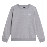 The North Face - Teen Evolution Simple Dome Crew - TNF Pale Grey Heather - vista principale
