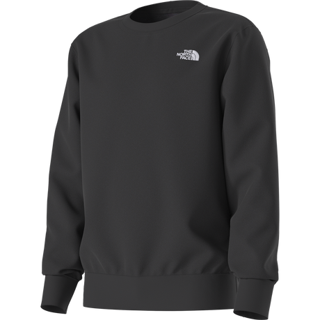 The North Face - Teen Evolution Simple Dome Crew - BLACK - vista alternativa 2
