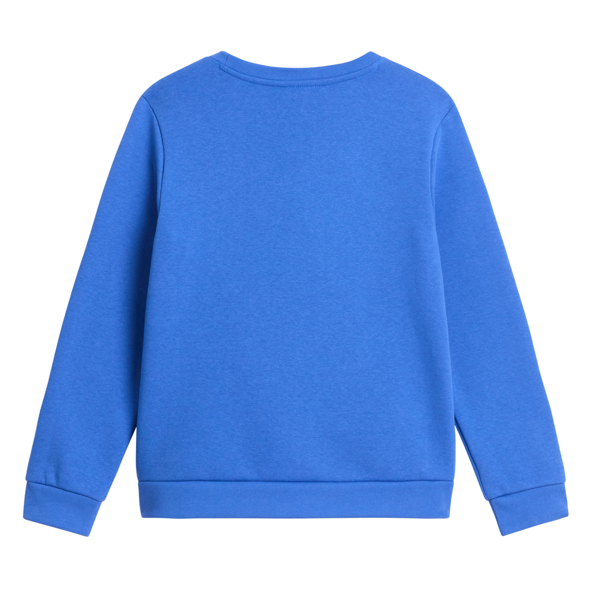 The North Face - Teen Evolution Simple Dome Crew - SHDPGRTRD/MLNRD - vista alternativa 1