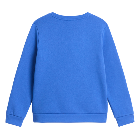 The North Face - Teen Evolution Simple Dome Crew - Blue - vista alternativa 1