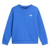 The North Face - Teen Evolution Simple Dome Crew - SHDPGRTRD/MLNRD - vista principale