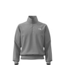 The North Face - Evolution Simple Dome Regular 1/4 Zip da uomo - TNF Pale Grey Heather - vista principale