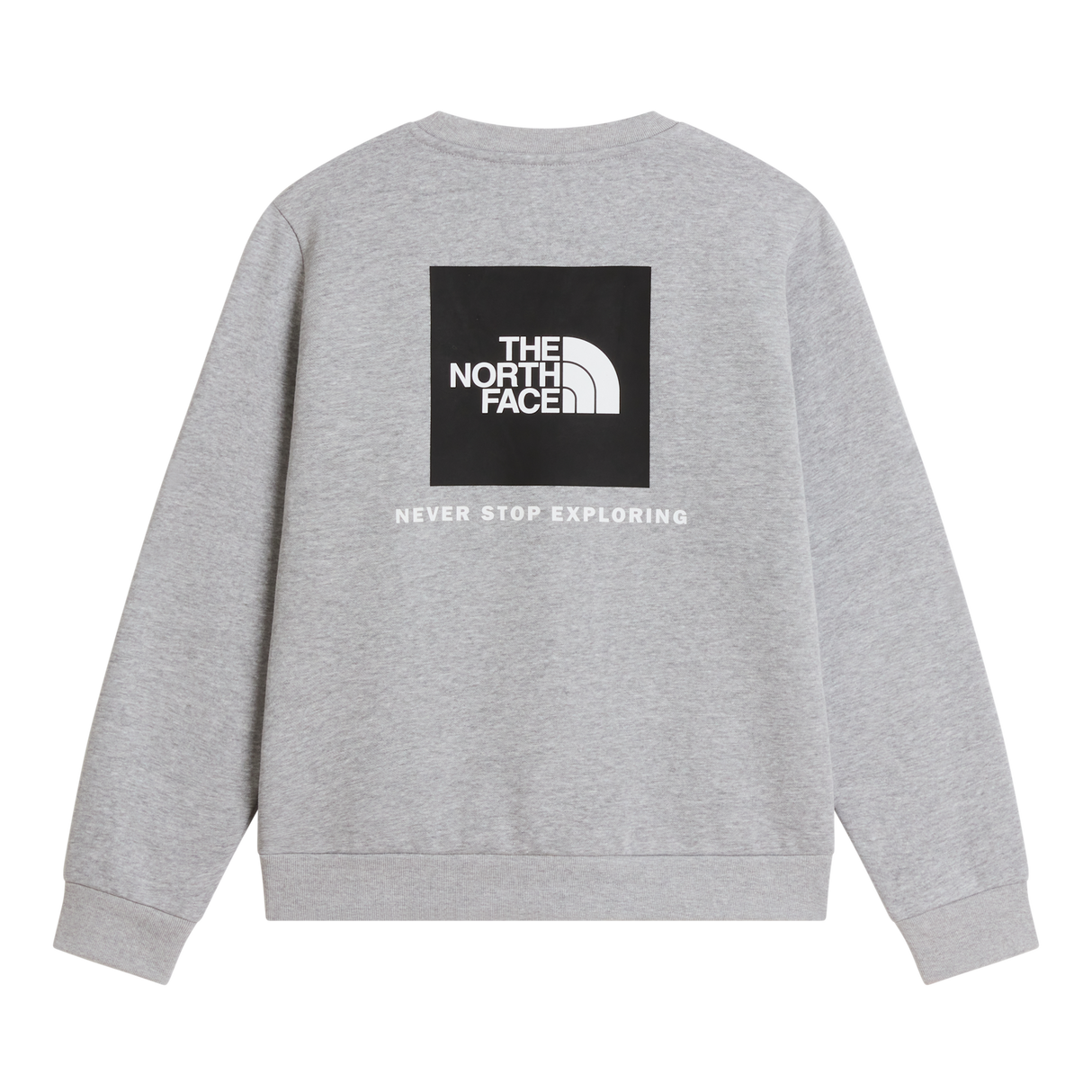 The North Face - Teen Evolution Box Nse Crew - TNF Pale Grey Heather - vista alternativa 1