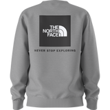The North Face - Teen Evolution Box Nse Crew - TNF Pale Grey Heather - vista alternativa 10