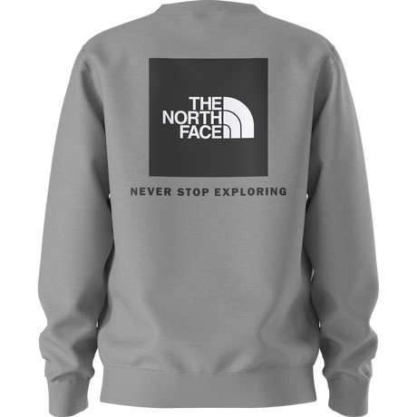 The North Face - Teen Evolution Box Nse Crew - GREY - vista alternativa 10