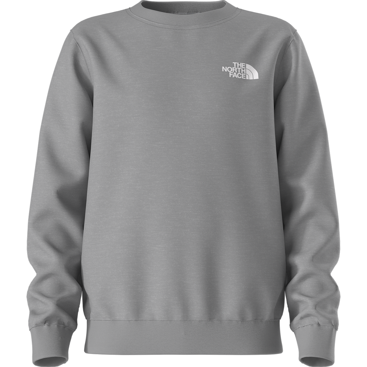The North Face - Teen Evolution Box Nse Crew - TNF Pale Grey Heather - vista alternativa 11