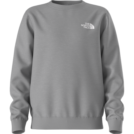 The North Face - Teen Evolution Box Nse Crew - GREY - vista alternativa 11