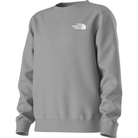 The North Face - Teen Evolution Box Nse Crew - GREY - vista alternativa 12