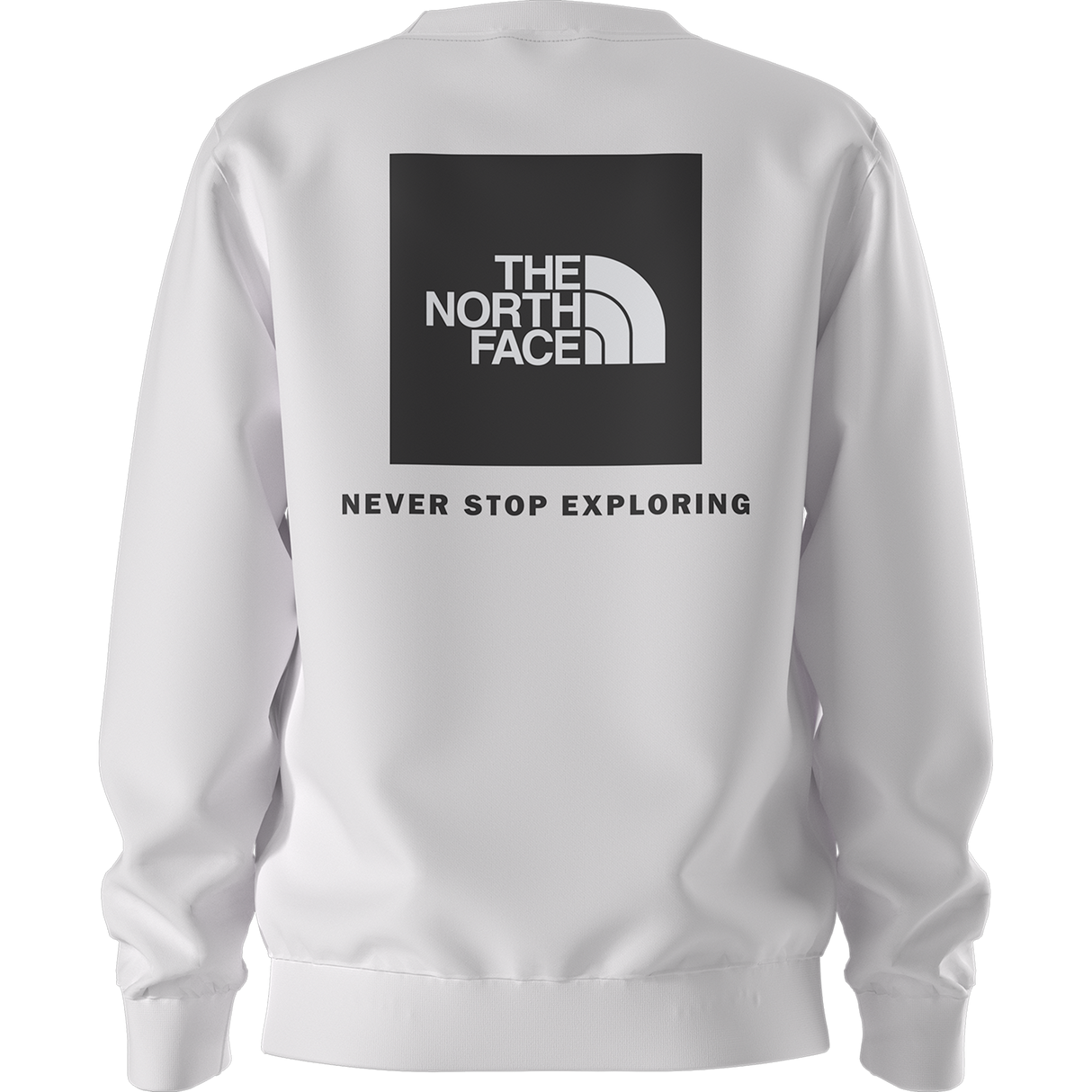 The North Face - Teen Evolution Box Nse Crew - TNF WHITE - vista alternativa 10