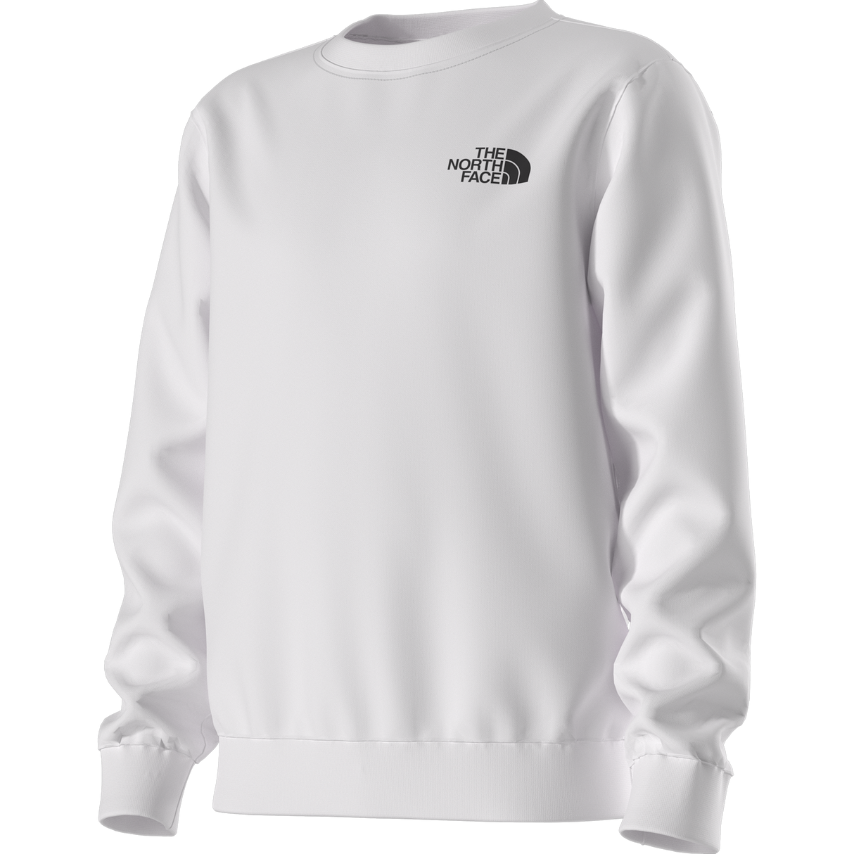 The North Face - Teen Evolution Box Nse Crew - TNF WHITE - vista alternativa 12