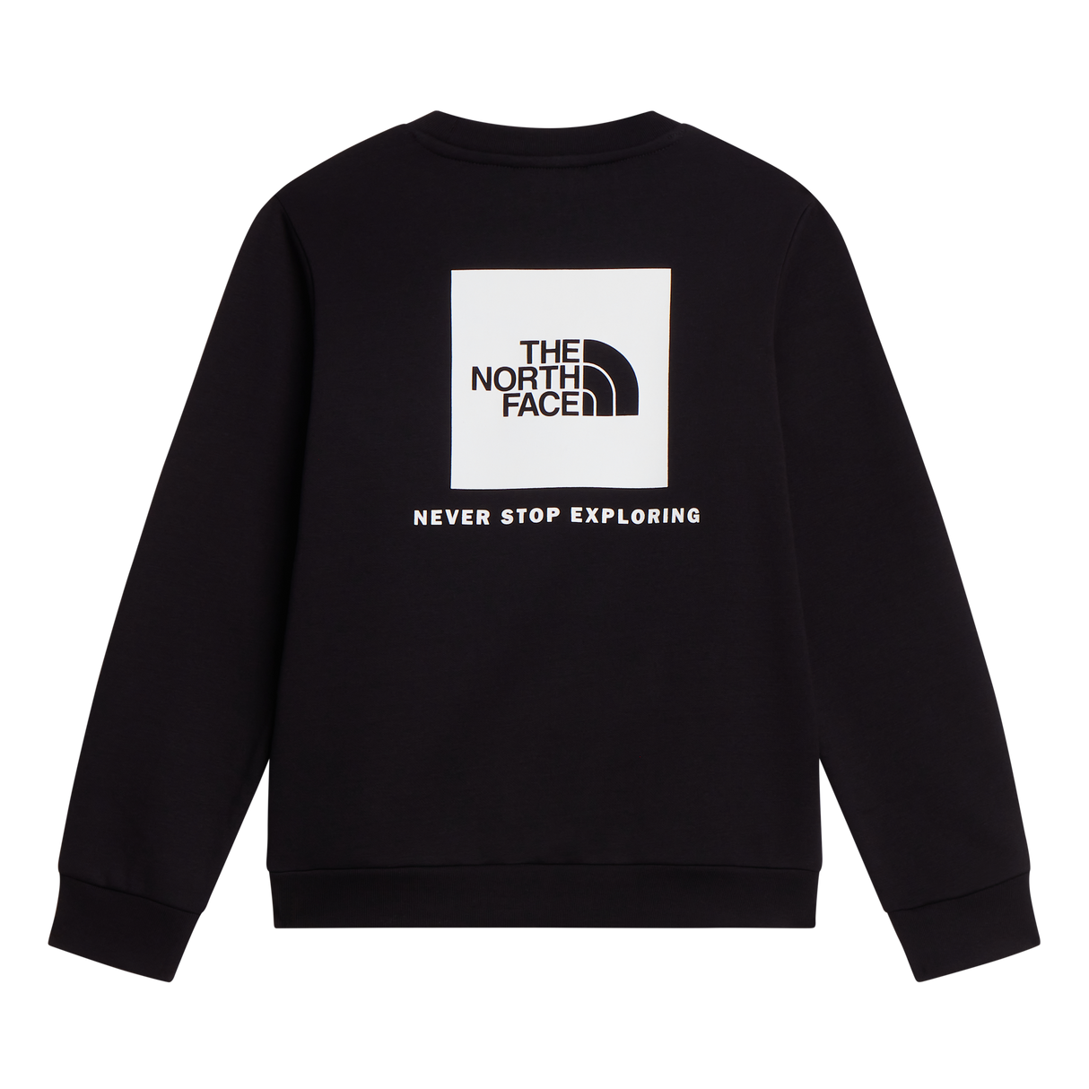 The North Face - Teen Evolution Box Nse Crew - TNF BLACK - vista alternativa 1