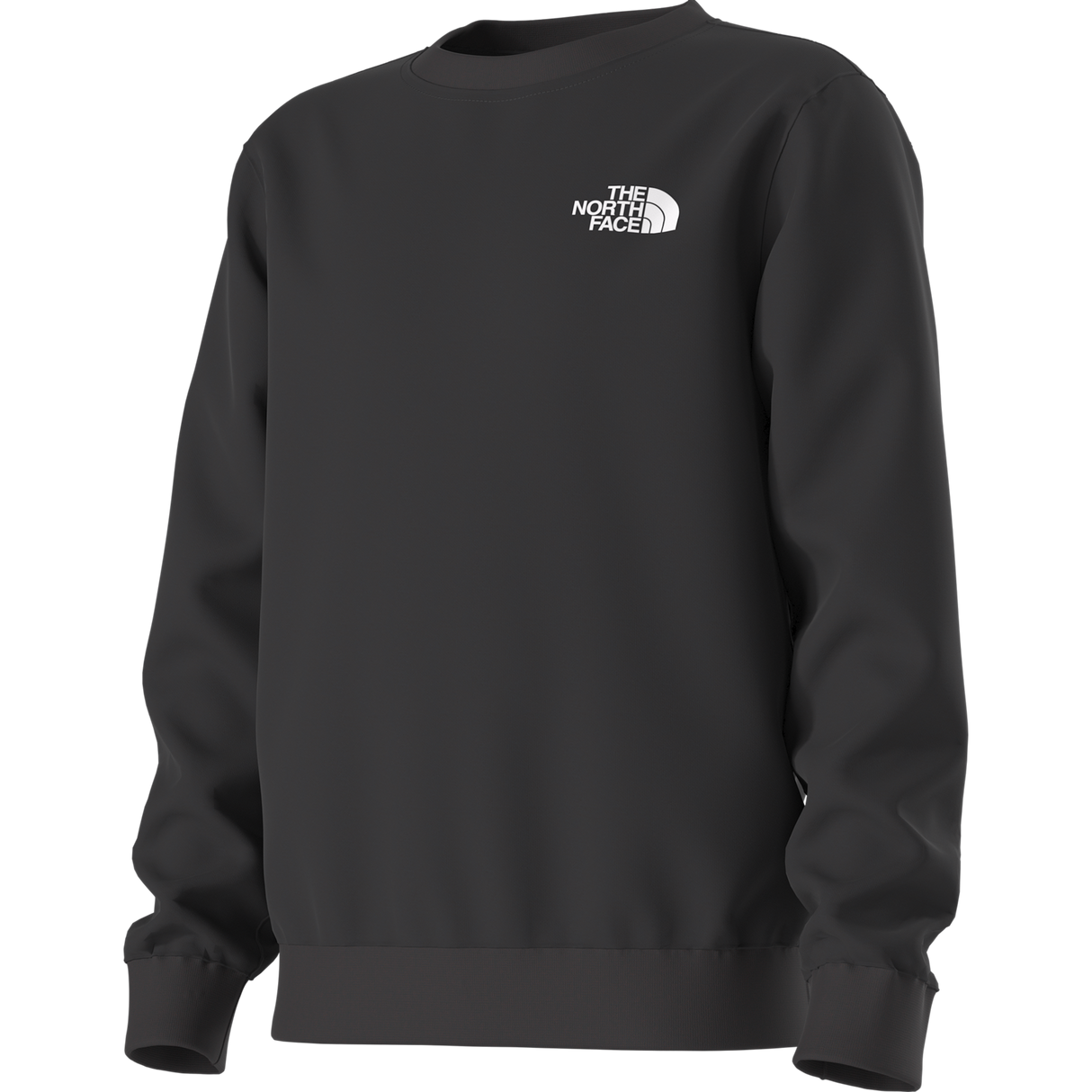 The North Face - Teen Evolution Box Nse Crew - TNF BLACK - vista alternativa 12