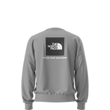 The North Face - Evolution Box Nse Regular Crew da uomo - TNF Pale Grey Heather - vista alternativa 1