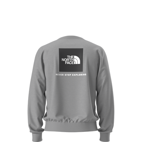 The North Face - Evolution Box Nse Regular Crew da uomo - TNF Pale Grey Heather - vista alternativa 1