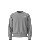 The North Face - Evolution Box Nse Regular Crew da uomo - TNF Pale Grey Heather - vista principale