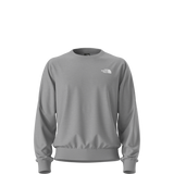 The North Face - Evolution Box Nse Regular Crew da uomo - TNF Pale Grey Heather - vista principale