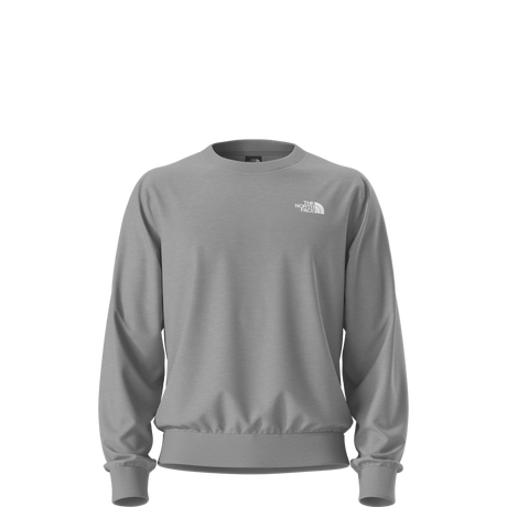 The North Face - Evolution Box Nse Regular Crew da uomo - TNF Pale Grey Heather - vista principale