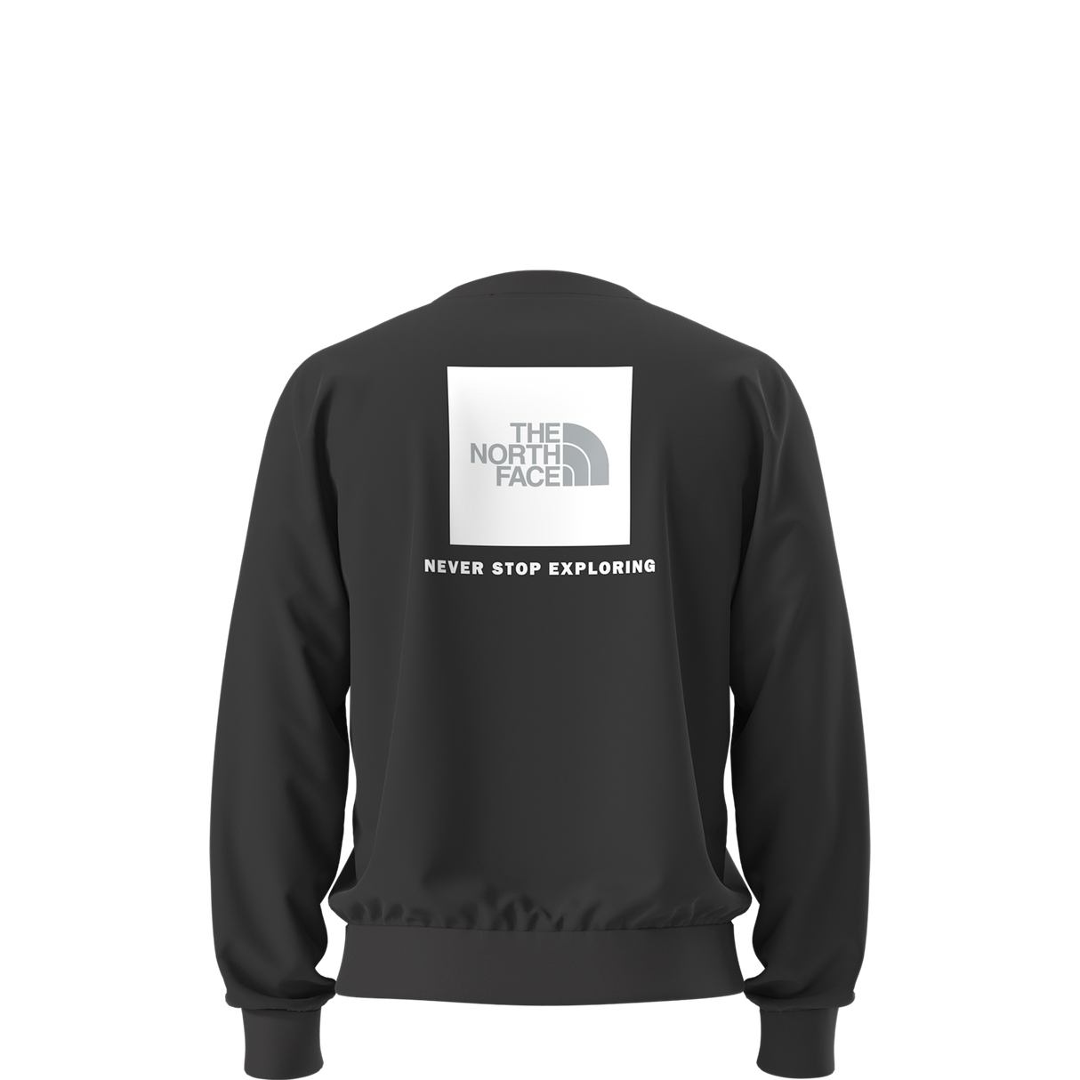 The North Face - Evolution Box Nse Regular Crew da uomo - TNF BLACK - vista alternativa 1